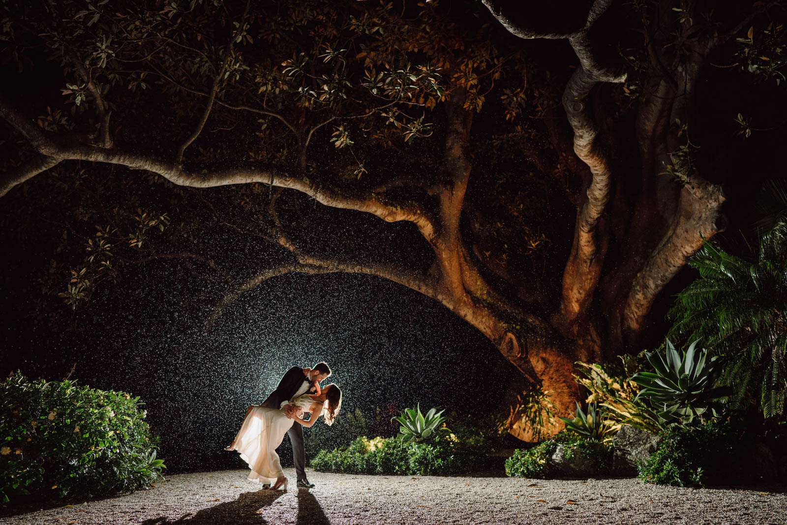Bride and groom kissing under a fig tree at night in the rain